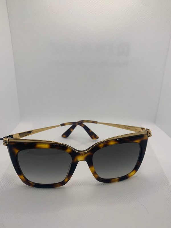Modello:CT00305