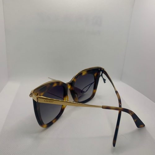 Modello:CT00305